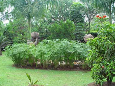 Mosa Court Apartments Kampala Kültér fotó